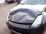 Hit A F***ing Deer Last Night-100_0320-.jpg