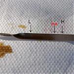 my dipstick - how does yours size up?-low_oil.jpg