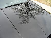 Detailed My Car - Now What?-img_2095.jpg