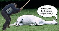 AT vs MT-beat_dead_horse-1-.jpg