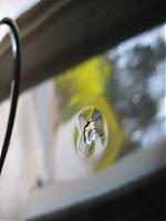 my car got shot today-img_0615.jpg
