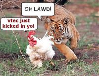 Downshifting-vtec3-1-.jpg