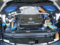 Hi everyone!-dsc01106.jpg