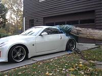 Bye Bye Z =(-treecar1.jpg