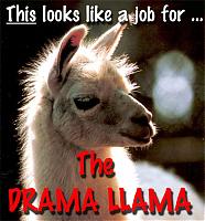 ***drunk Driver Hits My 08***-dramallama01-1-.jpg