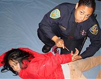 and yet another Z goes down-immigrant2.jpg