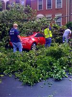 Tree falls on my new Z :( pictures not for the weak hearted-35065.jpg