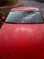 Tree falls on my new Z :( pictures not for the weak hearted-3501111.jpg