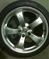 Juvenile questions from a proud new owner-bedi_0023.jpg