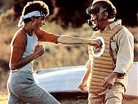 Z goes into unexpected hibernation-karate-kid-1.jpg