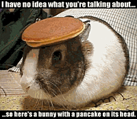 Any companies or shops willing to sponsor cars?-bunny-pancake.gif