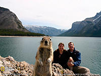 wtF are people ALWAYS douches towards 350z drivers &#937;_&#937;-squirrel-portrait-banff-sw.jpg
