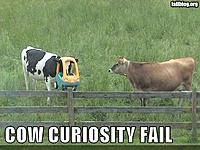 wtF are people ALWAYS douches towards 350z drivers &#937;_&#937;-fail-owned-cow-curiosity-fail.jpg