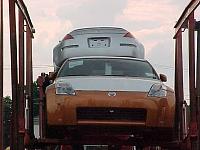 My Delivery-silverrump.jpg