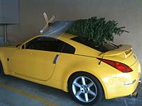 Loaded a Christmas tree on top of the Z-photo.jpg