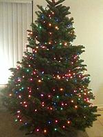 Loaded a Christmas tree on top of the Z-zaws-xmas-tree.jpg
