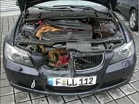 Please Help! Mice in the Z!!!!-deer-bmw.jpg