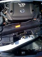 Insight please!-photo-2-.jpg