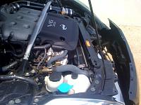 Insight please!-photo-3.jpg