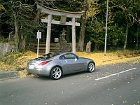 How Often Do You Wash/Wax Your Z ?-z-fall.jpg