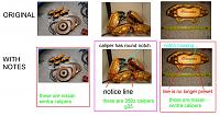 Beware of possibly fake Ebay listing (Brembo calipers)-ebay-item-fake-jpg.jpg