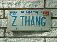 Zeja Vu-zplate8.jpg