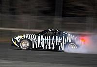 have you ever seen a zebra drifting a Z?-zebra2.jpg