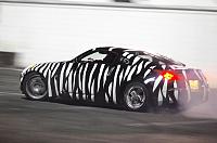 have you ever seen a zebra drifting a Z?-zebra3.jpg