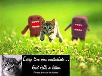 Cats,cats,cats-godkillsakitten.jpg