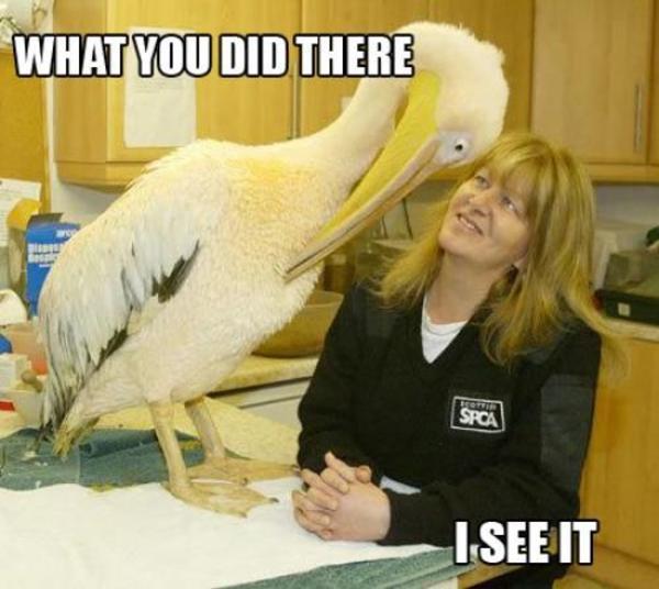 Name:  what-you-did-there-i-see-it.thumbnail_zpsaiwndgxc.jpg
Views: 27
Size:  40.5 KB