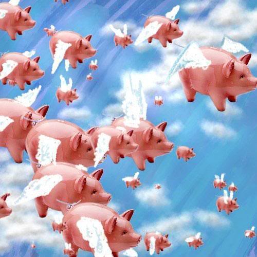 Name:  pig.jpg
Views: 3668
Size:  41.1 KB
