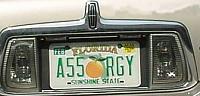 vanity plate decision help-license.jpg