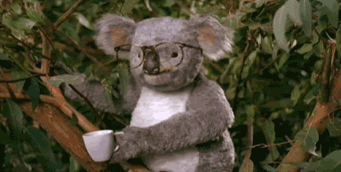 Name:  HeyDummy.gif
Views: 792
Size:  1.01 MB