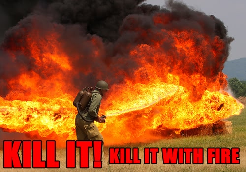 Name:  KILL-IT-WITH-FIRE-FUNNY-FORUM-PICS.jpg
Views: 186
Size:  56.6 KB
