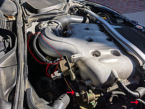 Rat Problem - chewing hoses - what hoses are these?-rat-chewing-350z-hoses-1.jpg
