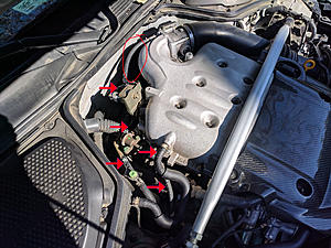 Rat Problem - chewing hoses - what hoses are these?-rat-chewing-350z-hoses-2.jpg