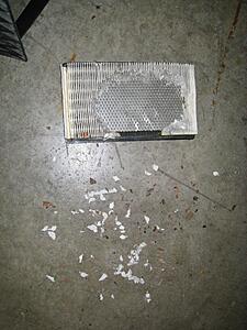 What have you done for your Z today?-t1przj2.jpg