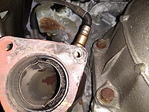 Fighting the exhaust manifold to catalytic converter bolts-k5dlxc8.jpg