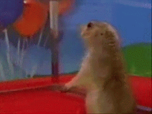 Name:  U71Ms.gif
Views: 17
Size:  1.91 MB