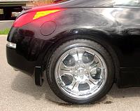 Pic of my baby-dsc00310.jpg