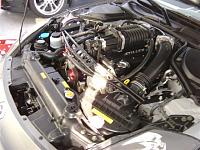 pics of stillen strut bar installed-painted-stb-small-.jpg