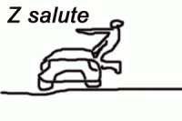 So what is the Z "Salute"???-zsalute.gif