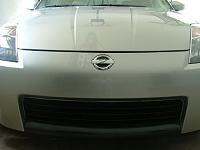 New Z emblem, weird pic on website-girlhood.jpg