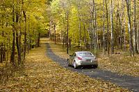 A lazy fall drive...-350z_yellowtreeline.jpg
