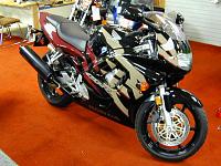 Pics of my whole car, from far away it looks good &amp; me and my dogs!-cbr600.jpg