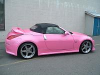 Z comes in so many great colors!-pinkz.jpg