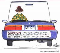 Ga tint laws are stupid!-cartooncautionturn0713.jpg