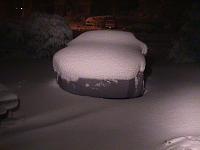 Z buried in almost a foot of snow!!-mvc-011f.jpg