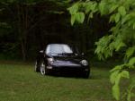 Look at what the 911 owners say about the Z.....-car-woods-leaves-great.jpg