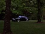 Look at what the 911 owners say about the Z.....-car-from-trees1.jpg